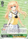  SMP/W130-031 RR “夏の思い出”紬 