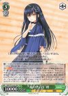 SMP/W130-033 RR “夏の思い出”鴎
