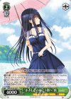 SMP/W130-050 C “まぶしさの向こう側へ”鴎