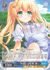 SMP/W130-093 R “わたしの作戦”紬