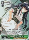 SMP/W130-034S SR “働き者のメイドさん”鴎