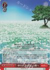 SMP/W130-085S SR ゆりかごの向こう側へ