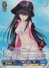 SMP/W130-110S SR “夏の日差し”鴎