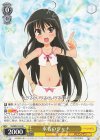SS/WE41-04 N 水着のシャナ