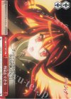  SS/WE41-44 N 何でもできる 