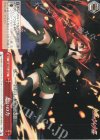 SS/WE41-45 N 想いの力