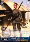 SW/S49-T09 TD “冒険のはじまり”レイ