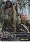 SW/SE39-026FOP FOP チアルート&ベイズ(箔押し入り)