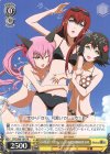 STG/S60-101 PR “3人の水着美女”フェイリス・ニャンニャン&牧瀬 紅莉栖&椎名 まゆり