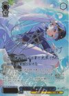  STS/W140-068SP SP 弁論と立証 フリージア(サイン入り) 
