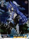 SG/W19-T09 TD 奏を想う翼