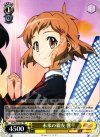 SG/W19-101 TD 未来の親友 響