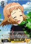 SG/W19-003 R 胸の痛み 響