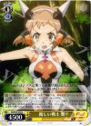 SG/W19-010 U 優しい戦士 響