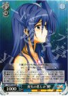 SG/W19-076 RR 喪失の悲しみ 翼