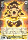  SG/W70-002 RR “Alchemic Gold”響 