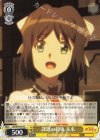  SG/W70-014 C 課題の約束 未来 