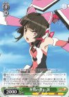  SG/W70-034 U 無償の想い 調 