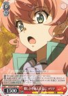  SG/W70-063 C 厳しさを耐えた先に マリア 