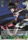 SG/W70-030S SR 終わりなき闘争 調