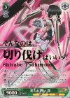 SG/W70-031SP SP 新たな戦い 調(箔押し入り)