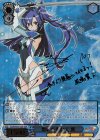 SG/W70-071SSP SSP 想いを束ねて 翼(サイン入り)