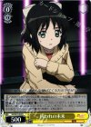 SG/W27-004 R 囚われの未来