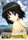 SG/W27-009 U 生きる意志 未来