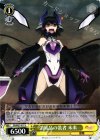 SG/W27-011 U 消耗品の装者 未来