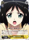 SG/W27-013 U 心配する未来