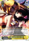  SG/W27-015 U 暖かい世界のため 未来 