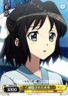 SG/W27-019 C 解放された未来