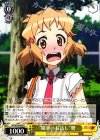 SG/W39-008 U “確率のお話し”響