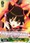  SG/W39-040 C 新たなる力 調 