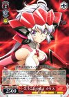  SG/W39-056 R 失うことの怖さ クリス 