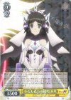  SG/W89-001 RR わたしたちの絶唱 未来 