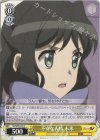  SG/W89-016 C 不安な表情 未来 