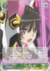  SG/W89-028 RR アマルガム 調 
