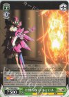  SG/W89-040 U 圧倒的な力 キャロル 