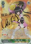 SG/W89-028SP SP アマルガム 調(サイン入り)