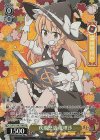 THP/S130-P28S PR 疾風怒濤 魔理沙