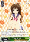  TL/W37-031 RR “お座り”美柑 