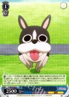  TL/W42-082 R マロン 