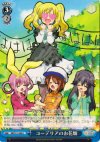  MK/S11-096 U コーデリアのお花畑 