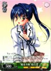  MK2/S19-T01 TD “優柔不断”姫百合 