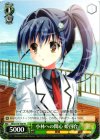  MK2/S19-T04 TD 小林への関心 姫百合 