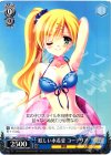  MK2/S19-085 U 眩しい水着姿 コーデリア 