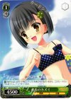 MK/S33-P04 PR 水着のカズミ