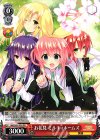  MK/SJ01-P01 PR お花見 ミルキィホームズ 