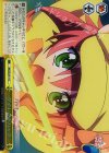 MK/SE29-14 S-C ダイレクトハック(ホロ)